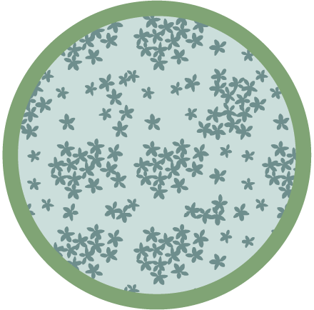 Blue Petal  color swatch